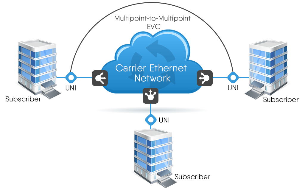 Multi-point to Multi-point Carrier Ethernet Network